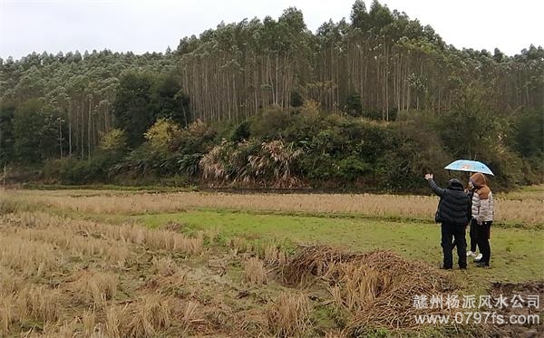 绵阳市陈老师带着爱徒寻龙点穴